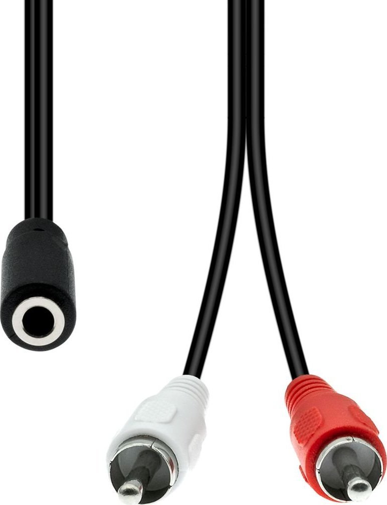Kabel ProXtend Mini-Jack 3-Pin to 2 x RCA Cable F-M Black 20cm