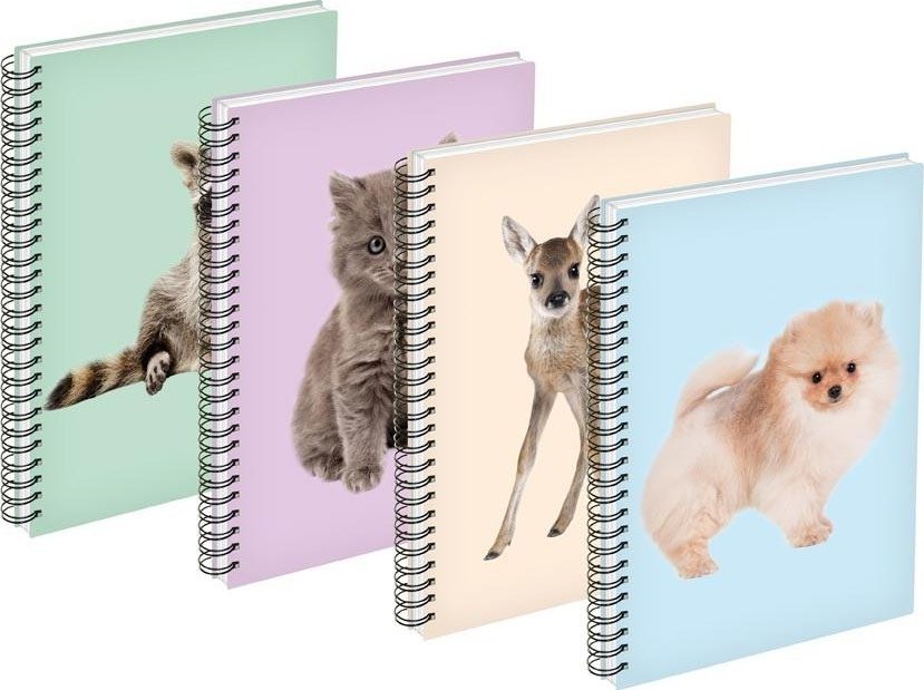 MFP paper kołozeszyt A6 80 kartek w linie 7500717