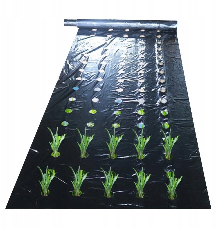 Agrotkanina FOLIA OTWORY SADZONKI na chwasty 10m