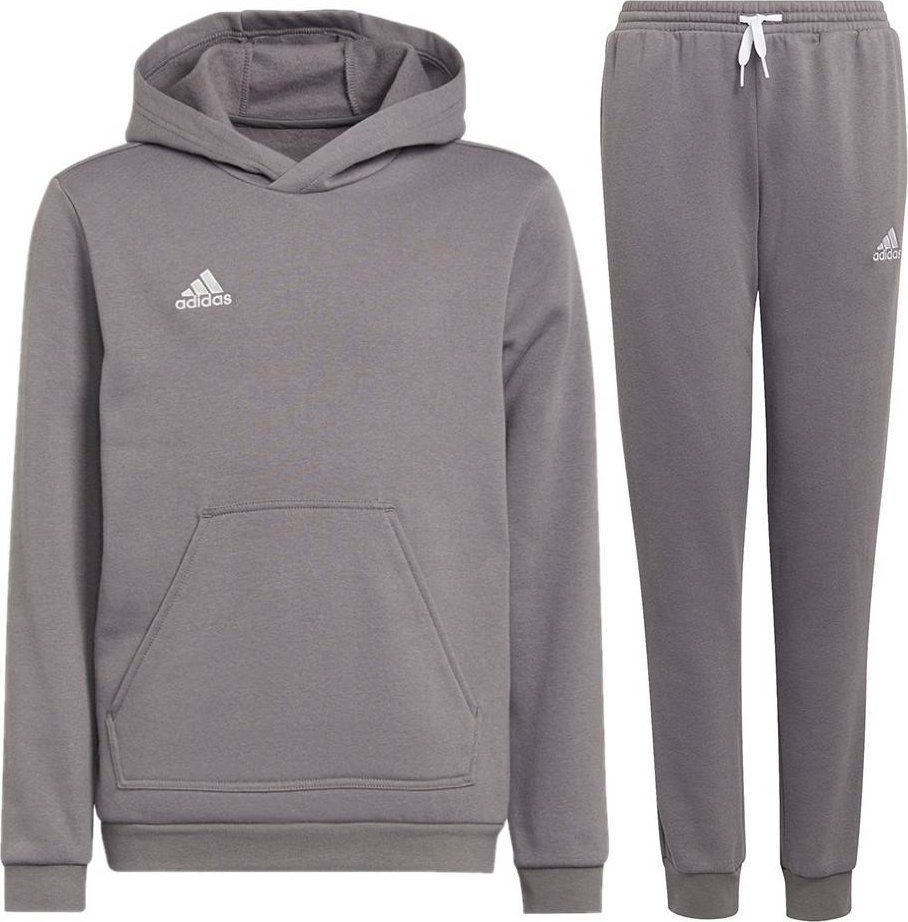 Adidas Dres dziecięcy Adidas Entrada 22 komplet szary