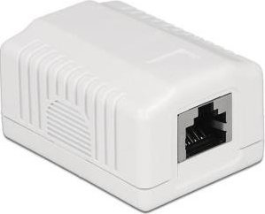 Delock Anschlussdose 1Port Cat.6A LSA - 86196