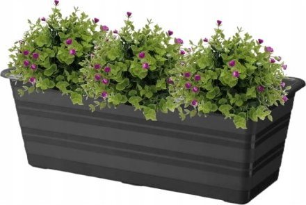 Galicja Skrzynka balkonowa grafitowa 60cm plastikowa