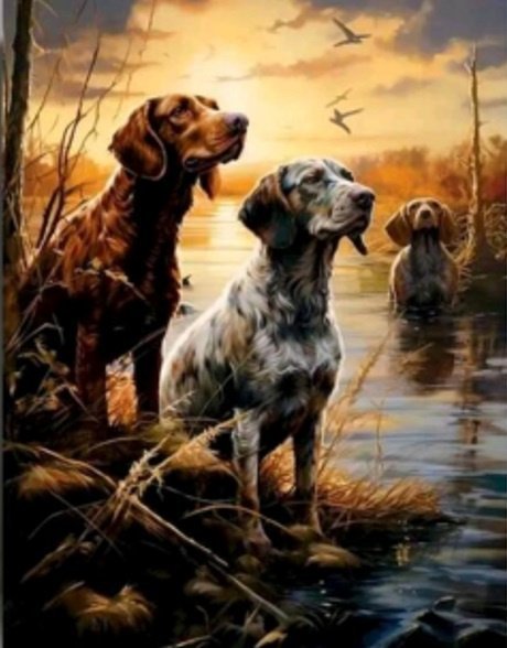 Norimpex Diamentowa Mozaika Pieski Trzy W Rzece Polowanie 30x40