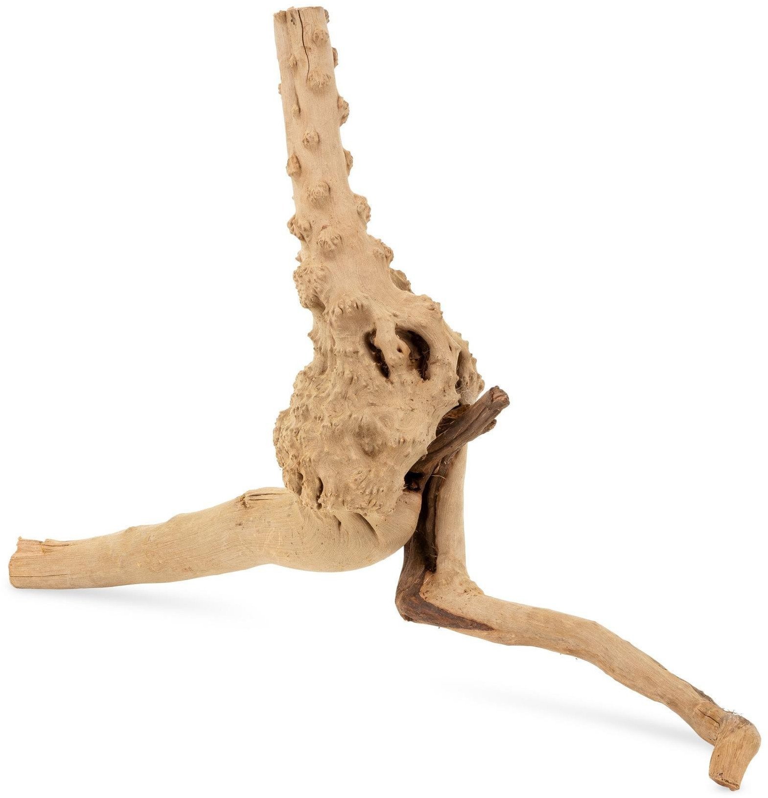 Korze� Drift Woodroot 10-25 cm