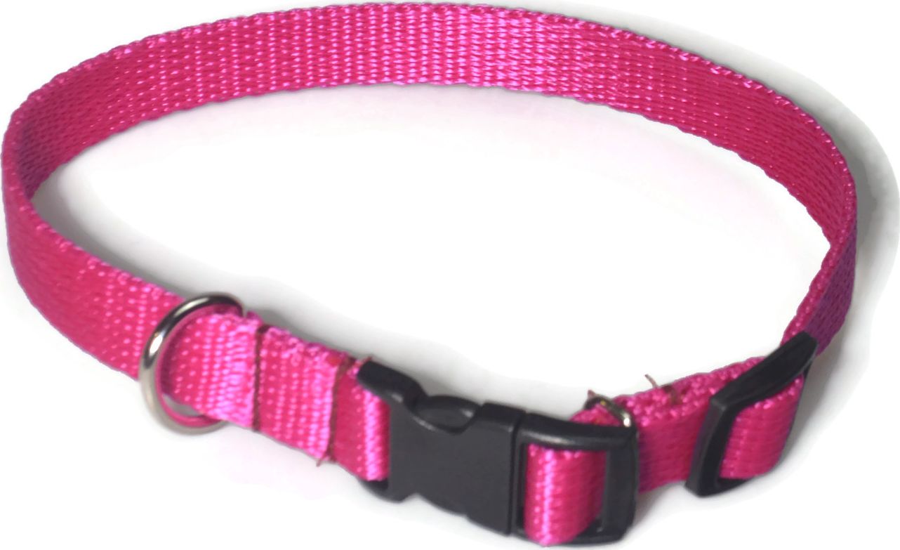 Alizoo Obroża dla średniego psa 16mm/24-42cm - ALIZOO