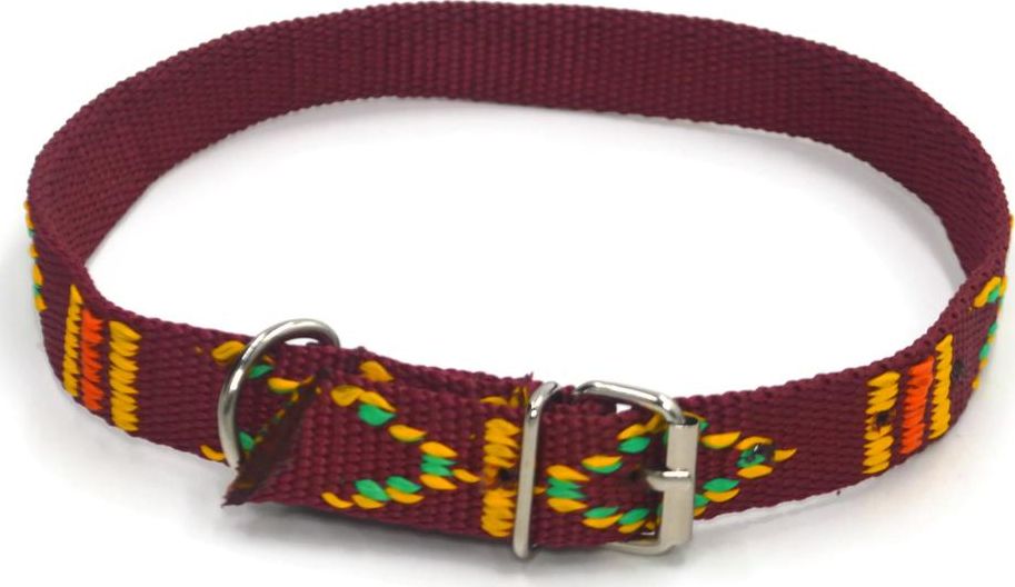 Alizoo Obroża z metalową klamerką 20mm dla średnich psów - ALIZOO