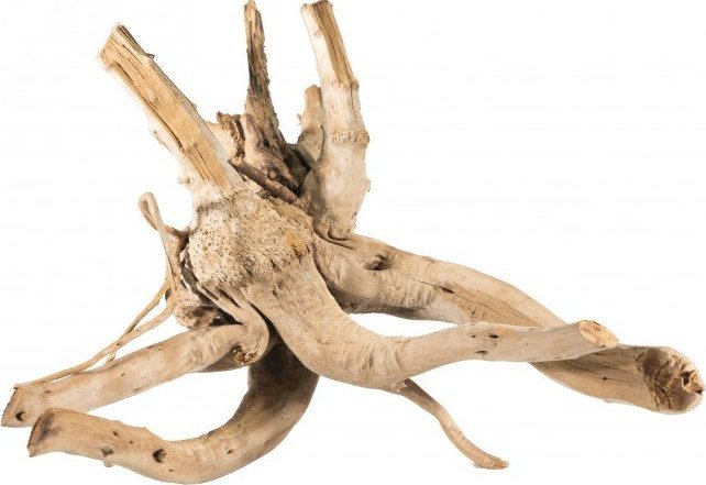 Terra Natura Korzeń bagienny M-L RED MOOR 20-50cm