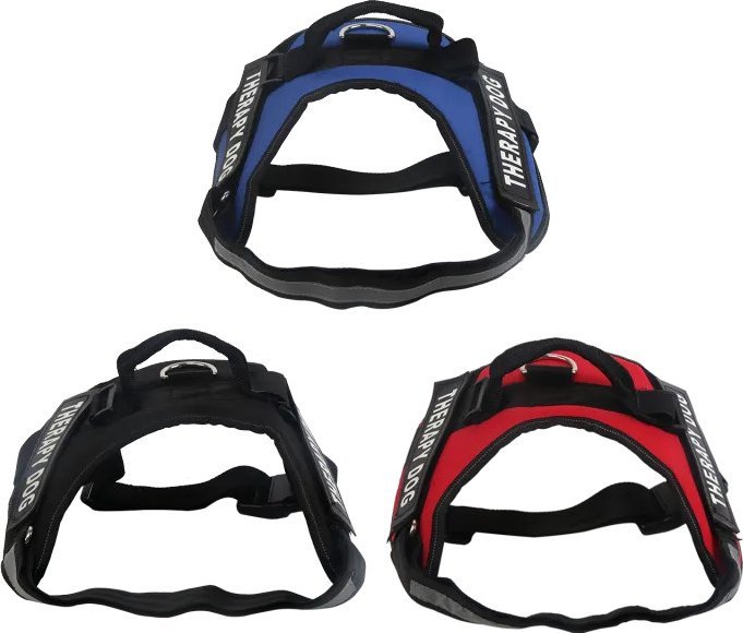 Nobleza Czarna uprząż/szelki Czarna uprząż/szelki