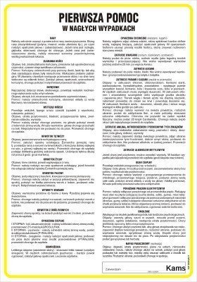 TD Systems Pierwsza pomoc w nagłych wypadkach