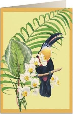 Tassotti Karnet B6 + koperta 6052 Tukan