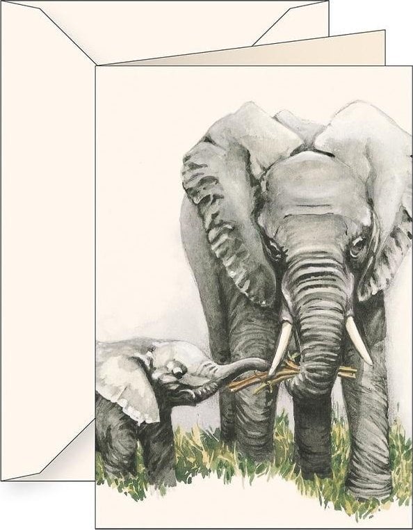 Karnet B6 + koperta 7506 Słonie