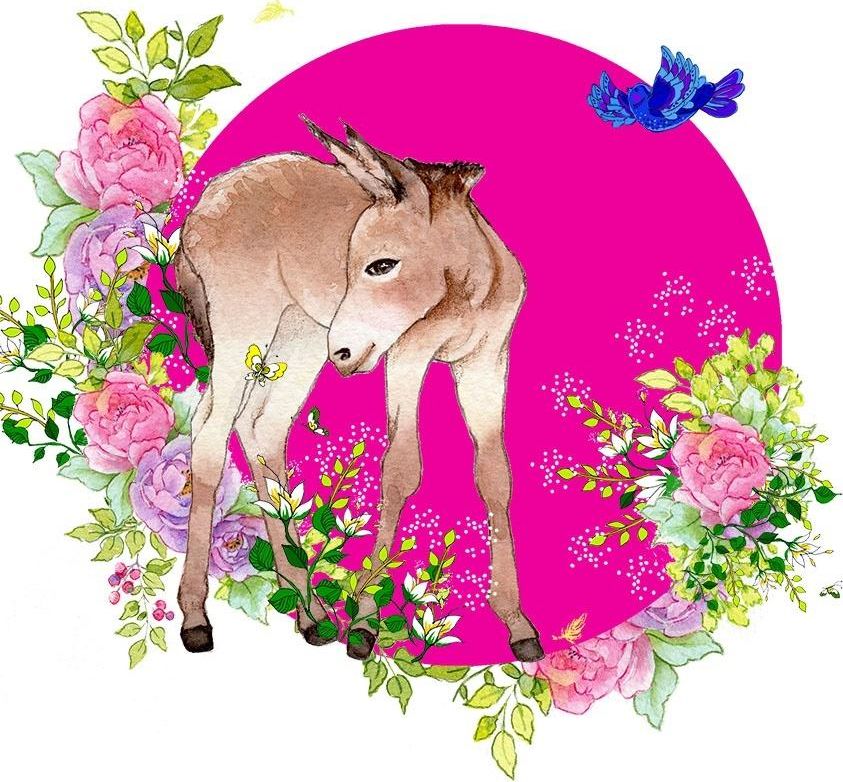 Clear Creation Karnet Swarovski kwadrat CL2003 Osioł