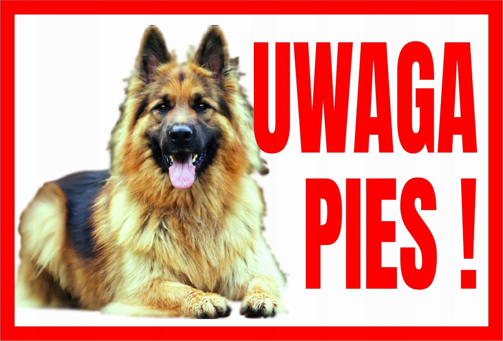 Dingo Tup-7 Tabliczka Ostrzegawcza Uwaga Pies Owczarek Libres Polska Sp Tup-7 5902082237471