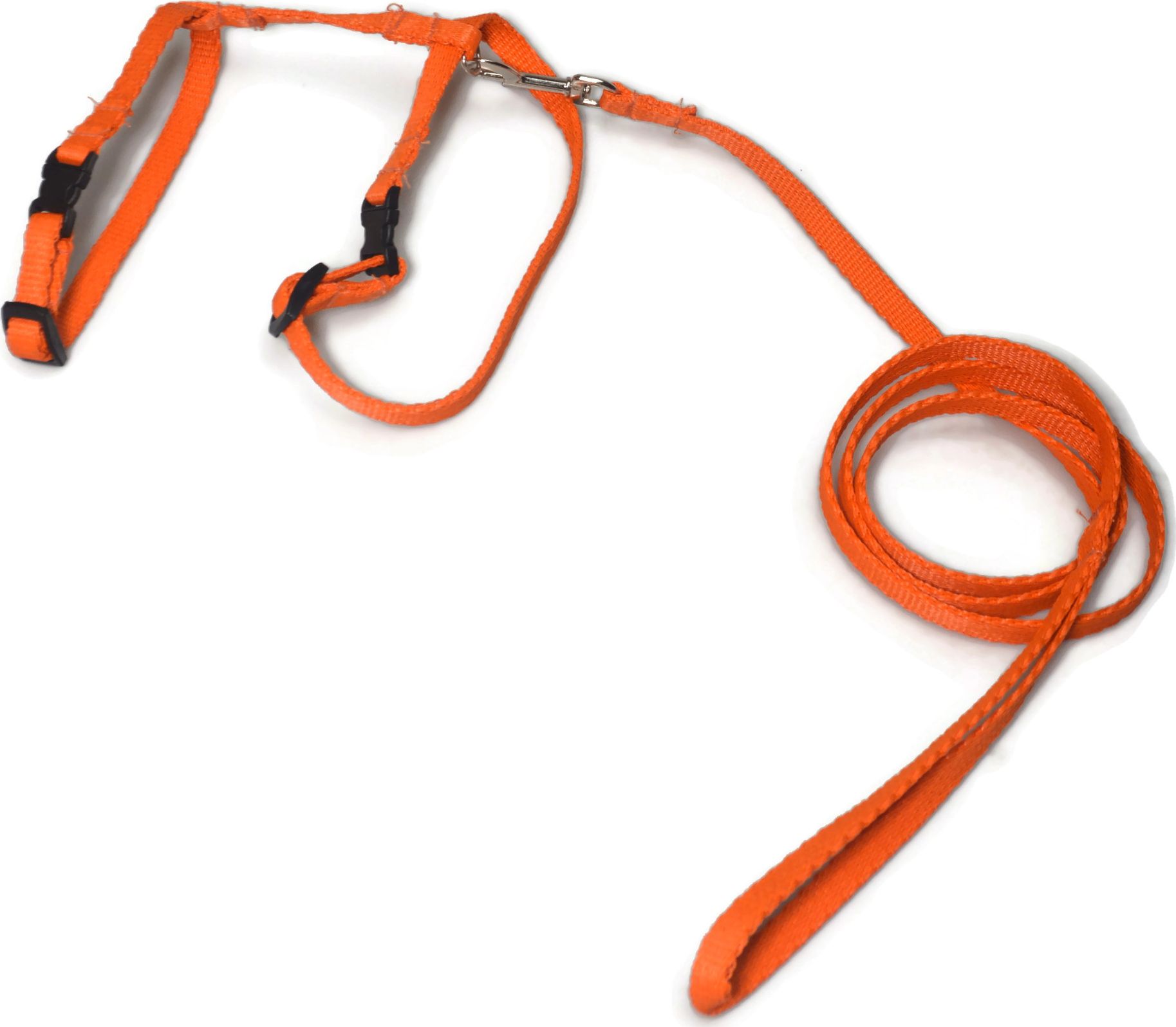 Alizoo Komplet dla kota, smycz plus szelki - ALIZOO