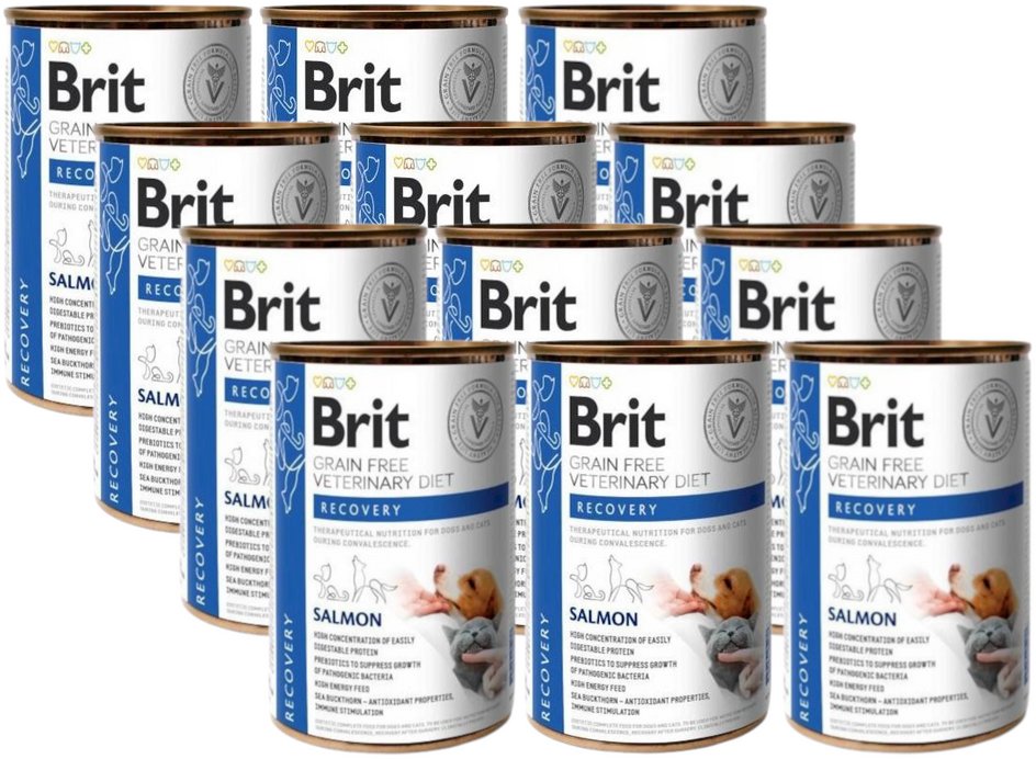 BRIT GF Veterinary Diets Recovery Salmon 12x400g - karma mokra dla psa i kota