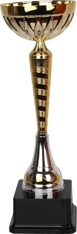 Tryumf Puchar Tryumf W1990