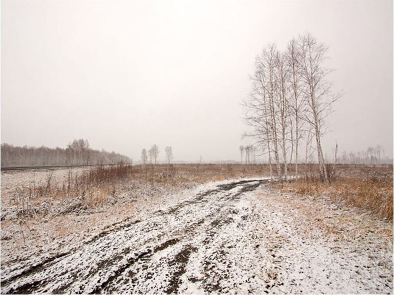 DecoNest Fototapeta - Winter field - 400X309