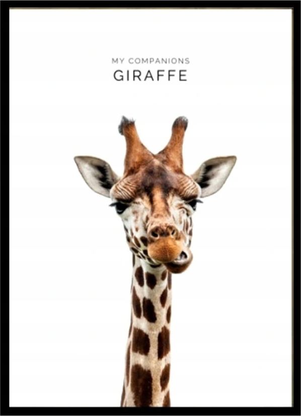 Pan i Pani Gadżet Plakat ze zwierzętami