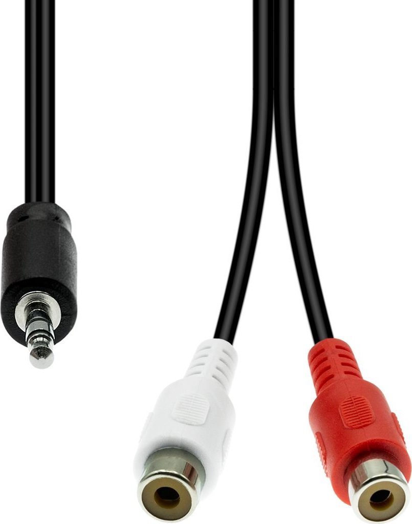 Kabel ProXtend Mini-Jack 3-Pin to 2 x RCA Cable M-F Black 20cm