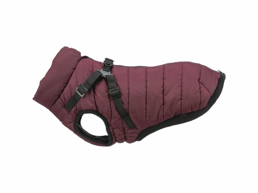 Płaszcz dla psa Trixie Pirou Kasztanowy XS