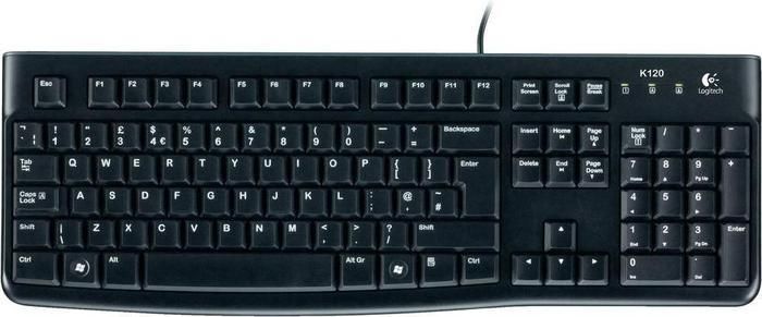 Klawiatura Logitech K120 (920-002482)