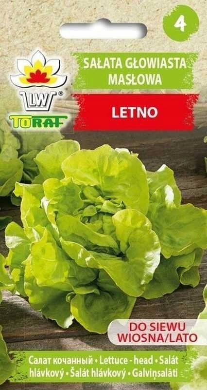TORAF SAŁATA MASŁOWA LENTO LACTUCA SATIVA L. [1 G]