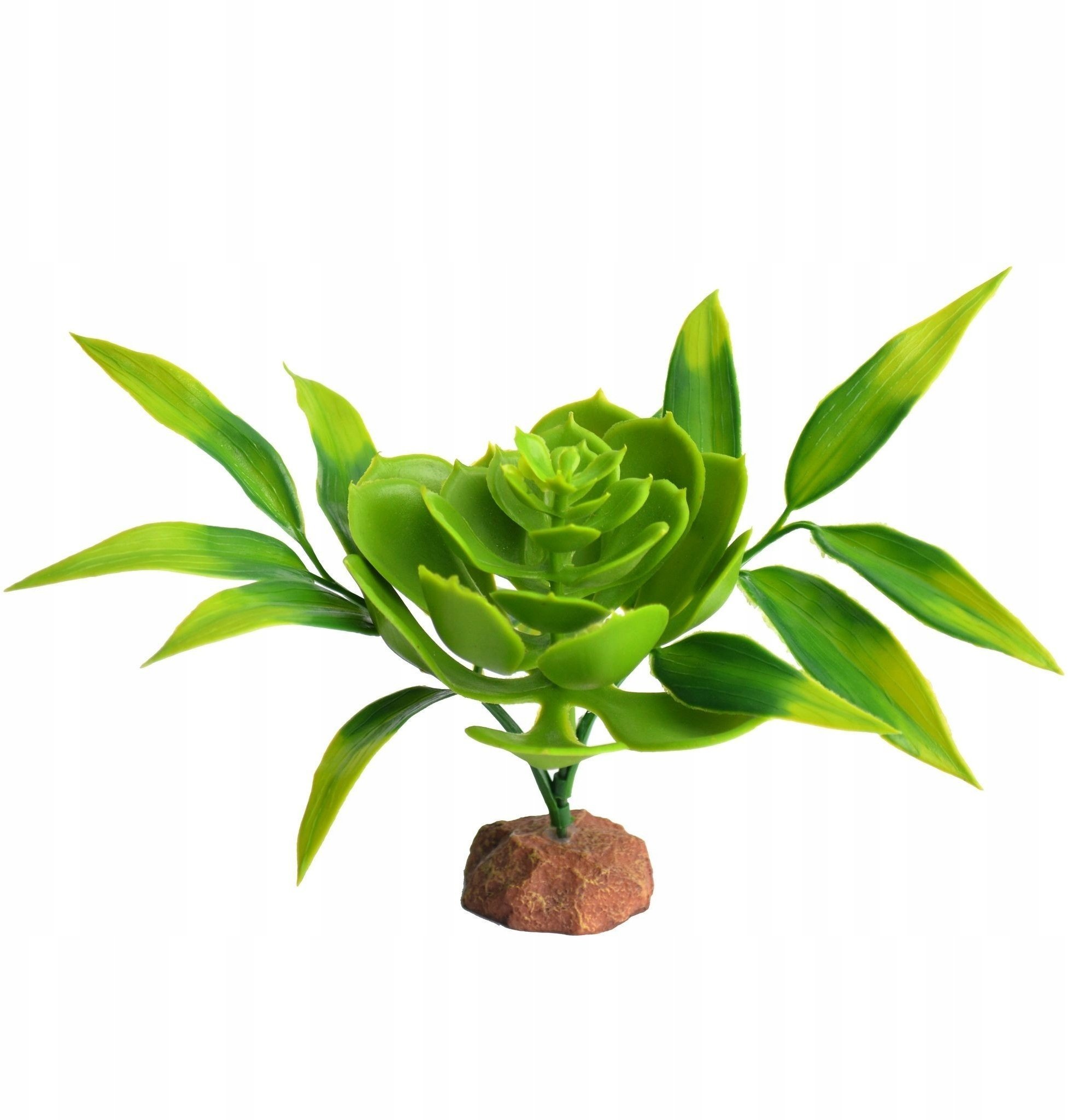 Terra Natura Dekoracja terrarystyczna roślina pustynna na podstawce średnia 20cm