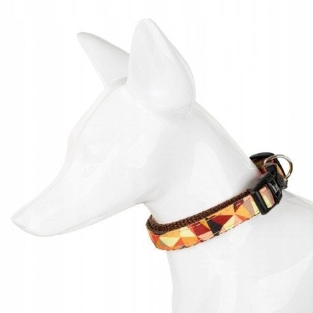 Barry King Obroża dla psa, wzór jesienny, taśma, 20MM/35-54CM brązowa