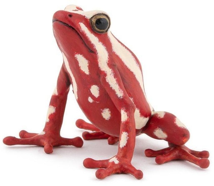 Drzewołaz karłowaty