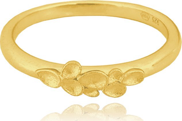 Minet MINET Matowy pozłacany pierścień srebrny EUCALYPTUS wielkość 10