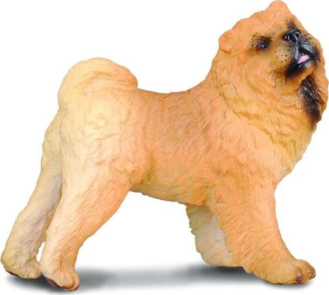 Figurka Collecta PIES RASY CHOW CHOW