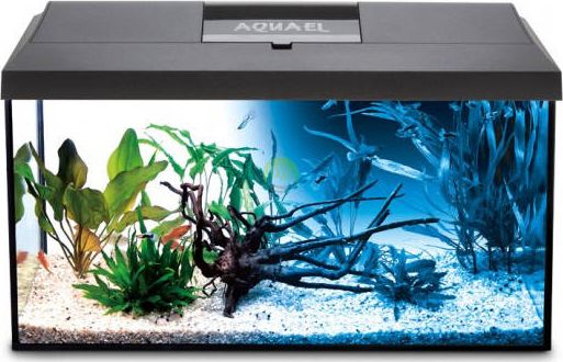 Aquael Zestaw akwariowy LEDDY DAY & NIGHT PAP-60 - czarny