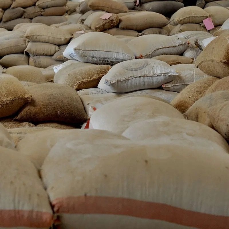 Kawa ziarnista Roastains Kawa ziarnista Kenia Red Fizz FILTR 250g