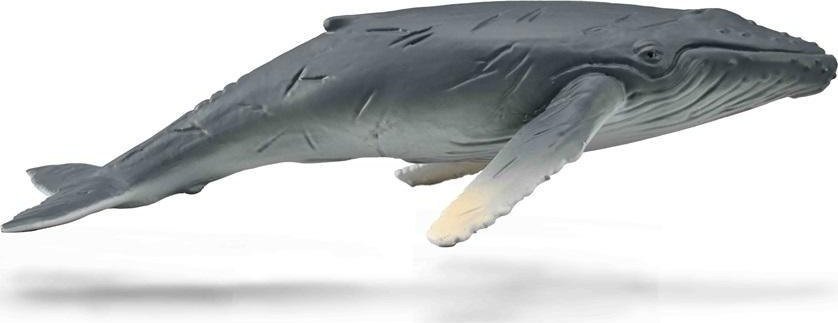 Figurka Collecta COLLECTA HUMBAK MŁODY