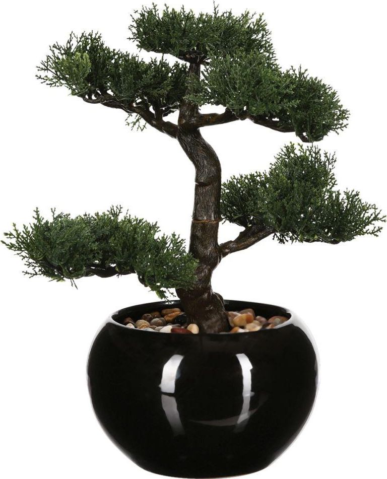 Atmosphera Drzewko bonsai w czarnej doniczce 36 cm
