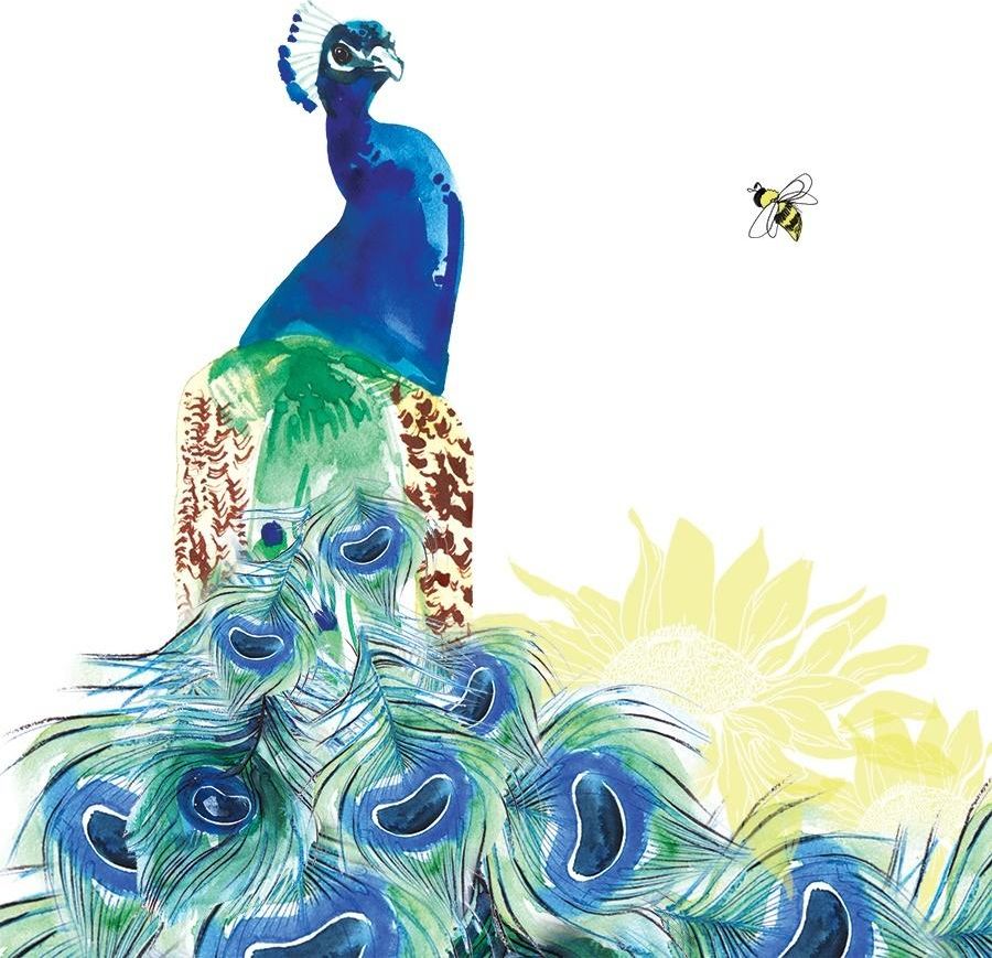 Clear Creation Karnet Swarovski kwadrat CL1235 Paw