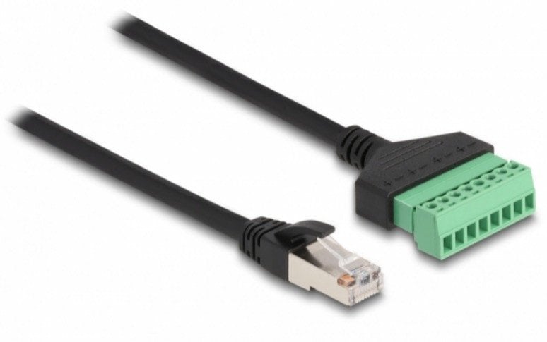 Delock DELOCK RJ45 Kabel Cat.6 St > Terminalblock Adapter 30cm 2tlg
