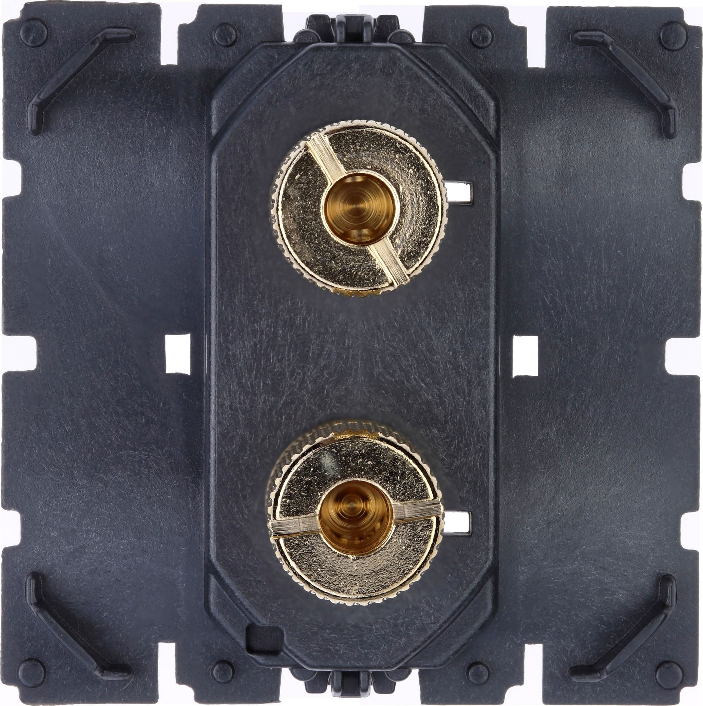 Legrand CELIANE Gniazdo głośnikowe bananowe pojedyncze (067312)