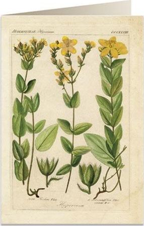 Tassotti Karnet B6 + koperta 6055 Dziurawiec