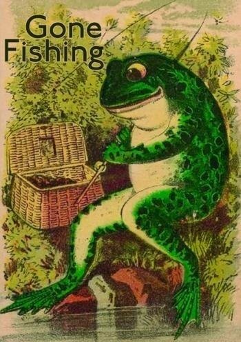 Karnet B6 z kopertą Żaba na rybach