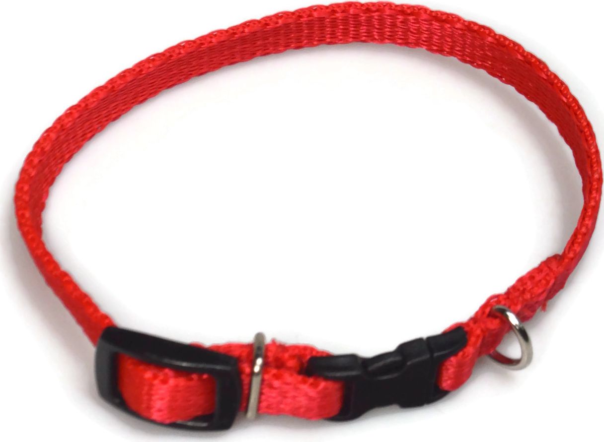 Alizoo Obroża dla psa 10mm/18-29cm - ALIZOO