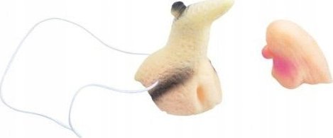 MFP paper nos i broda czarownicy 1042400