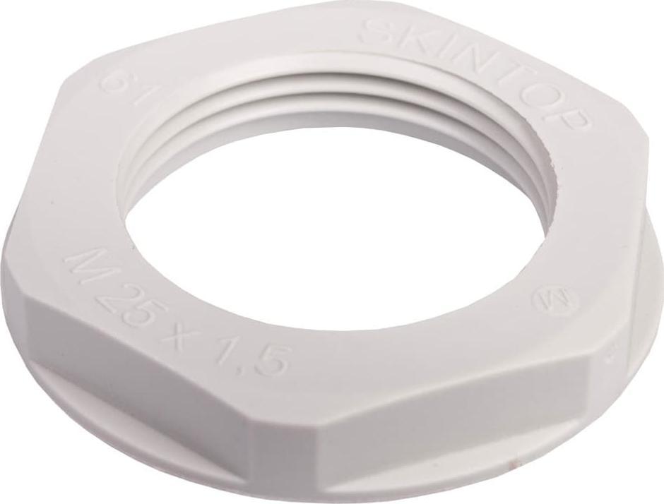 LAPP Nakrętka poliamidowa M25 SKINTOP GMP-GL-M 25x1,5 jasnoszara 53119033