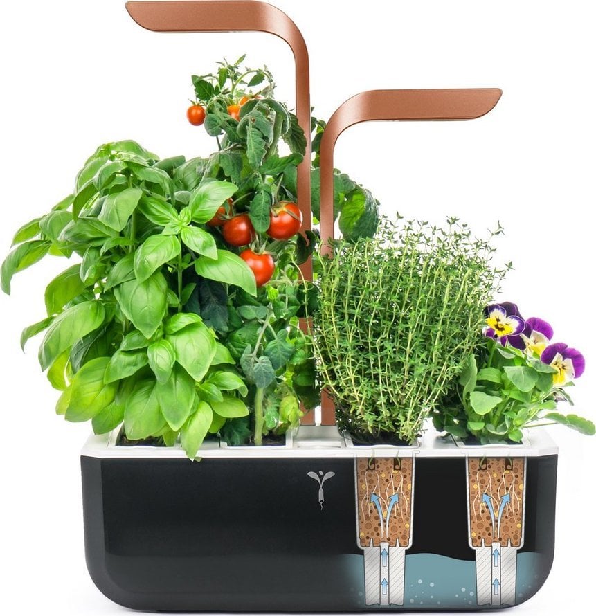 Anker Véritable SMART - Automatický květináč s regulací osvětlení, černá měděná + 4 bylinkové náplně