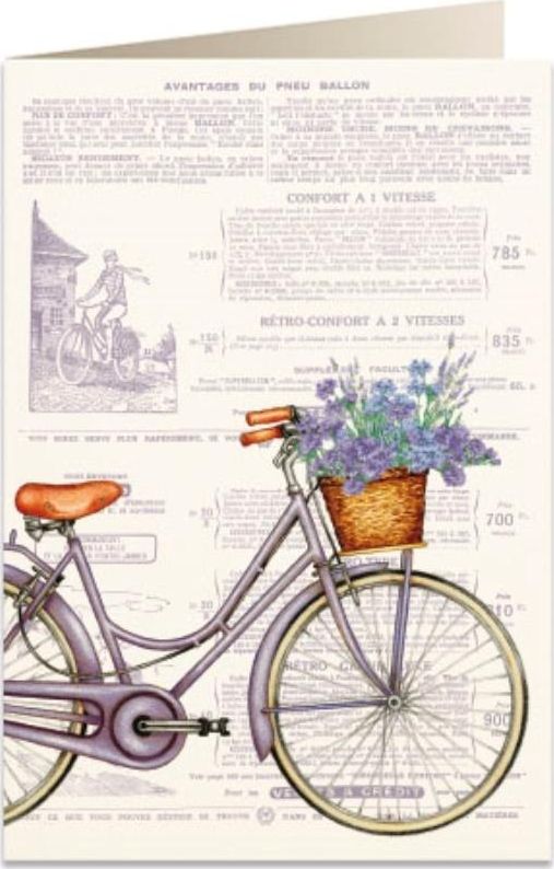 Tassotti Karnet B6 + koperta 5973 Rower i kwiaty