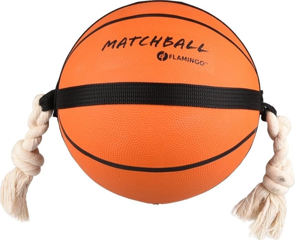 Sourcing DOG TOY 5345417