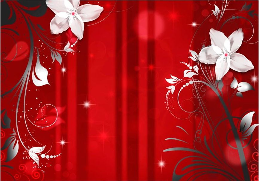 DecoNest Fototapeta - Kwitnący szkarłat - 400X280