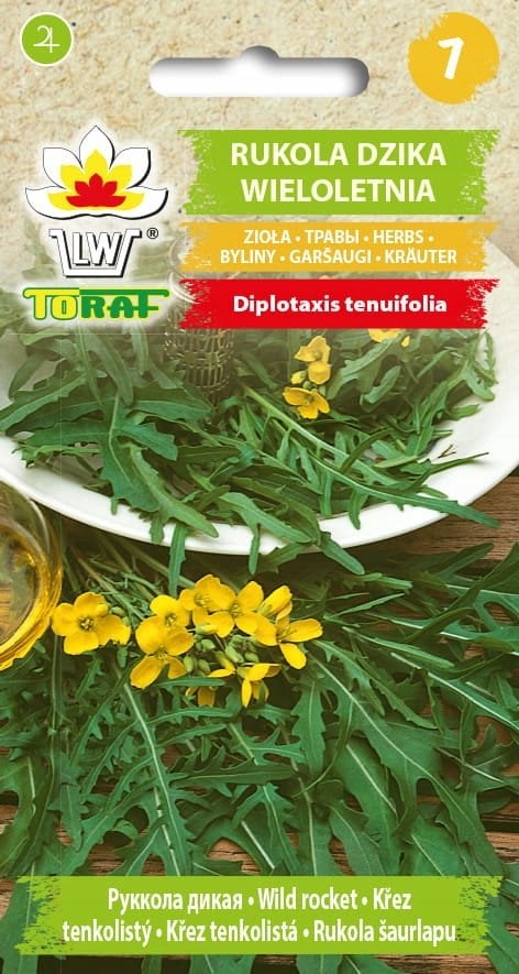 Toraf - nasiona wieloletnia rukola dzika do wielokrotnego zbioru - 1g