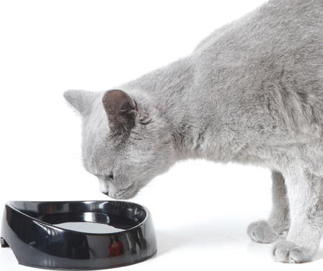 Savic MISKA WHISKER WATER 19x15x5cm