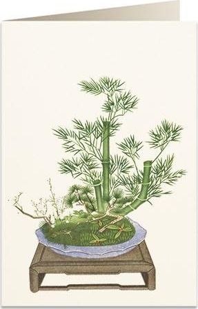 Tassotti Karnet B6 + koperta 6013 Bambus